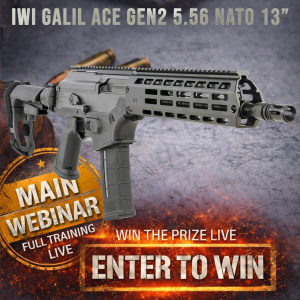 IWI Galil ACE Gen2 5.56 NATO 13"