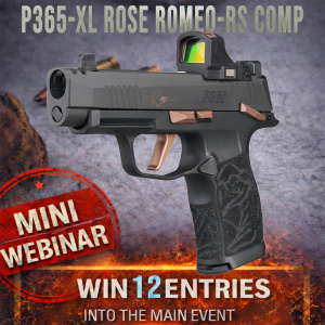 P365-XL ROSE ROMEO-RS COMP MINI #1 FOR 12 ENTRIES IN THE MAIN WEBINAR