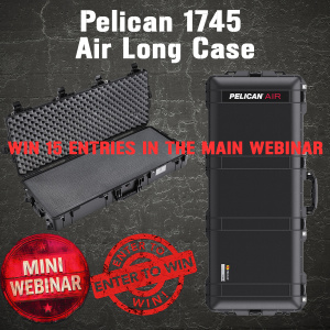 Pelican 1745  MINI #1 FOR 15 ENTRIES INTO THE MAIN WEBINAR